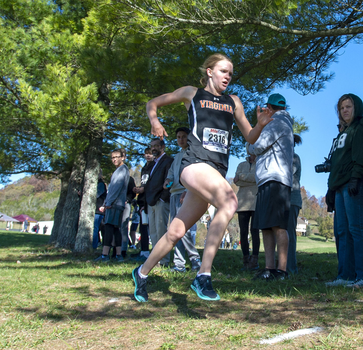 Region 2D Cross Country Championships